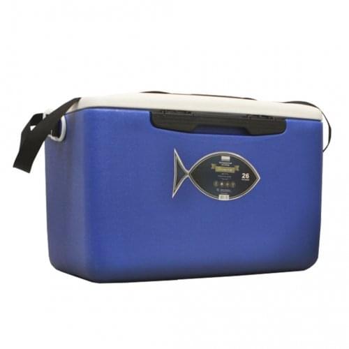 CAMPING WORLD Hiking And Travel Backpacks