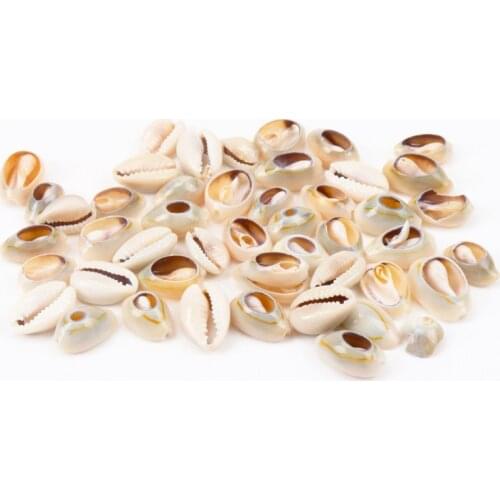 Natural Spiral Cut Beige Grey Shell For Scrapbook Craft DIY Handmade Seashells Glass Bottle Nautical Home Decoration 50pcs