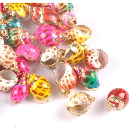 5pcs Mix colour Seashells For Crafts Accessories Home Decor DIY Gold Plated Natural Shell Handmade Pendant TR0336