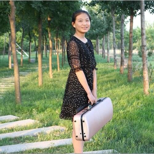 Pink Glass Fiber 4/4 New Violin Case Light Strong #110 Waterproof bag music bag Reticule Password lock put bow