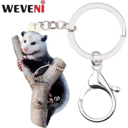 WEVENI Original Acrylic Gray Cute Possum KeyChain Keyrings Unique Design Jewelry For Women Girls Bag Car Charms Lots Gift