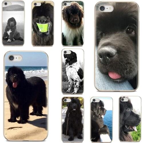 For Samsung Galaxy A10 A40 A50 A70 A3 A5 A7 A9 A8 A6 Plus 2018 2015 2016 2017 Soft Case Newfoundland dog Beautiful Gentle Giant