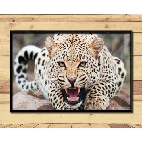 Cheetah Fierce Animal (12) Wall Posters Prints Silk Art Painting For Home Wall Bedroom Decor