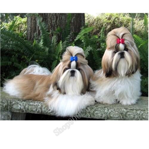 3d diy Diamond Embroidery Shih Tzu Puppies Dog Diamond Art pet Dog Diamond Painting Full Square Round Hobby Crafts FF2227