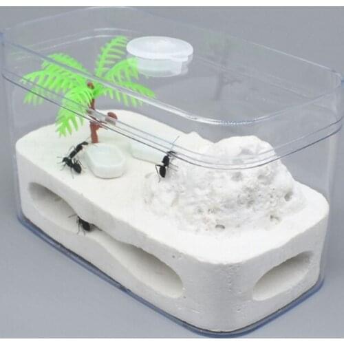 Ant Farm Ants Habitat with Fake Plants Plaster Ecosystem Science Learning Kit Kids Educational Toy Study Insect Behavior