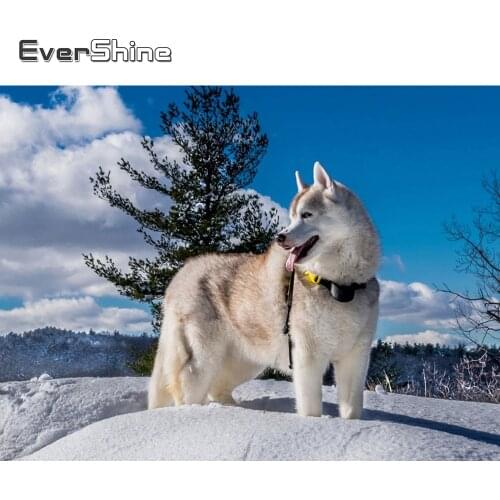 Evershine Diamond Painting Animals Full Square Rhinestone Diamond Embroidery Dog Cross Stitch Diamond Mosaic Winter Wall Sticker