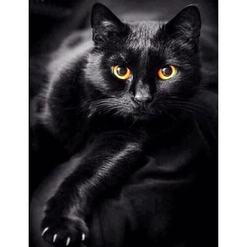 Animal 5d diy diamond painting black cat pattern full square round 3d diamond embroidery rhinestones mosaic home decoration CV50