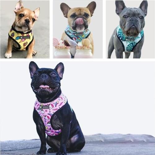 Personalized Cute Dog Cat Harness Vest Pet Adjustable Walking Leash Set for Puppy Small Medium Dogs Chihuahua Pet Supplies S-XL