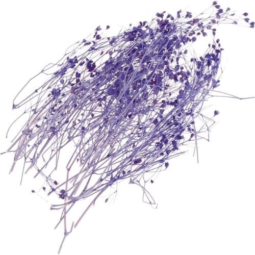 1 1 Box Filling Flower Dry Handmade Flowers DIY Epoxy Resin Filler Crafts Silicone Molds Tools Crystal UV Accessories Decoration