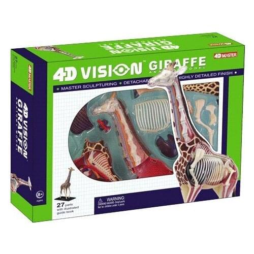 4D MASTER Authentic educational toys 4d master animal models assembled model Giraffe Anatomy