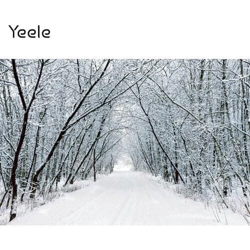 Yeele Winter Forest Path Branches Snowfield Snowflake Photocall Photography Backdrop Photographic Backgrounds Photo Studio
