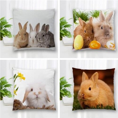 Hot Sale Custom Rabbit Square Pillowcase Zipper Double-Sided Pillowcase Living Room Bedroom Multi-Size 35x35cm 60x60cm