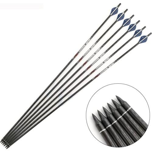 Archery Spine 300 350 400 600 Carbon Arrows ID6.2mm 100 Grain 2 inch Plastic Vanes Points Compound Recurve Bow Hunting