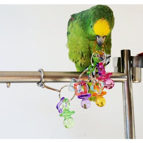BIRD TOY Parrot Chew Toys Cockatiel Budgie Lovebird Pet Birds Toys Activities Acrylic Little Nipple Bite Toy