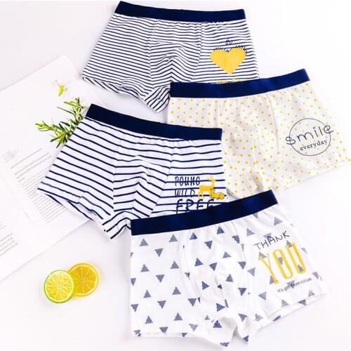 4 Piece Kids Boys Underwear Cartoon Childrens Panties for Baby Boy Toddler Child Cotton Underpants