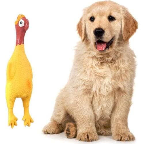 Lovely Puppy Plaything New Pet Dog Toy Dog Training Toy Bite Latex Chicken Toy Interactive Game Playing Products Supply