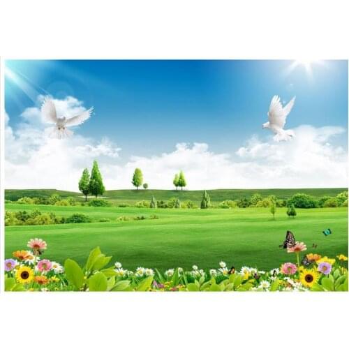 3d photo wallpaper custom 3d wall murals wallpaper blue sky white cloud scenery paintings wall paper 3d living room wall decor