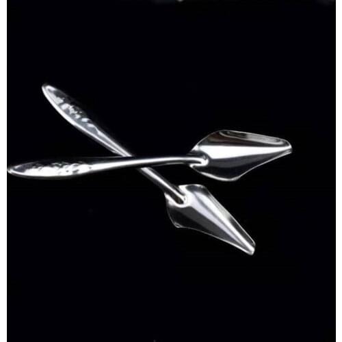 Baby Bird Pointed Feeding Spoon Stainless Steel Milk Medicine Parrot Feeder for All Baby Bird Peony Cockatiel