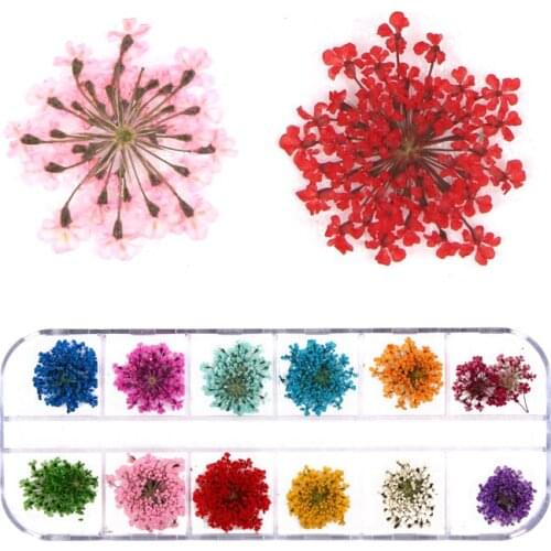 Dried Flowers For Nail Art Decorations Decals Fresh Natural Dry Handmade Flowers Nail Supplies Nail Accessories