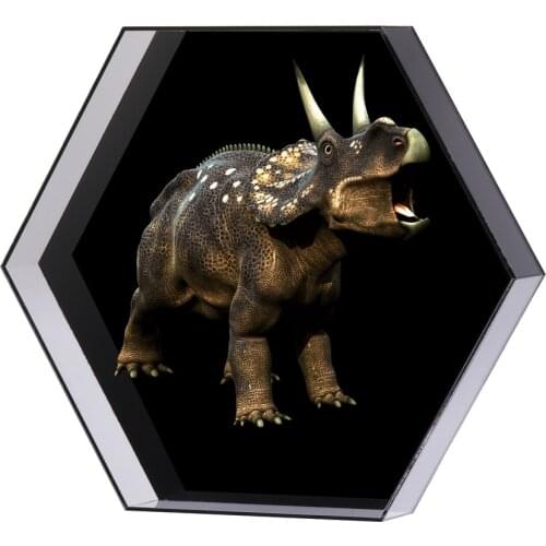 WIFI Bluetooth 60H Hexagonal 3D Hologram Projector Light Advertising Display LED Fan Holographic Player with Acyrlic Cover