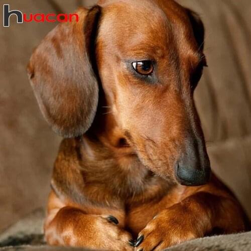 Huacan Diamond Painting With Square Rhinestones Dog Diamond Mosaic 5D Embroidery Animals Modular Craft Pictures Wall Art