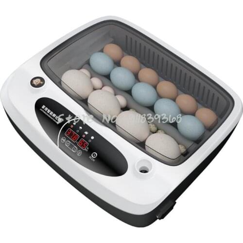Incubator Small Household Incubator Chicken Cole Duck Mini Automatic Intelligent Incubator Childrens Incubator