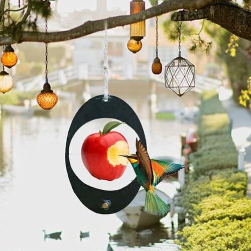 Fruit Feeder Outdoor Art Black Hanging Bird Feeder Plastic Garden Oval Wild Bird Feeder for Bird Watching