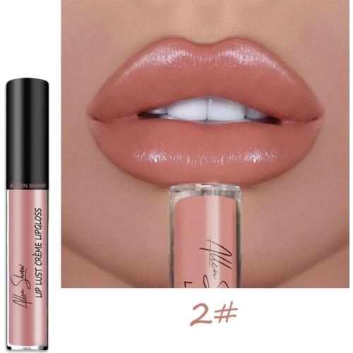 Waterproof Vivid Lipgloss Glitter Shimmer Lipstick Long Lasting Moisturizing Colorful Sexy Women Moist Lip Gloss TSLM1