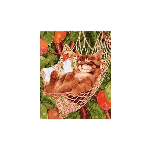 Картины котов по номерам Cioioil China At AliExpress