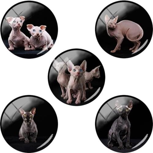 TAFREE 12mm/15mm/16mm/18mm/20mm/25mm Canadian Hairless Glass Cabochons Flat Back DIY Dome Jewelry Findings Making CA209