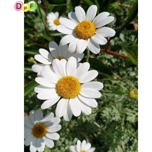 DPF 5D Round/Square full Diamond Painting Cross Stitch Crafts Diamond Embroidery Mosaic Needlework kits Home Decor