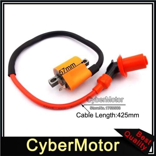 Ignition Coil For BAJA Canyon 90 Runner 125cc 150cc DR125 Polaris 50cc 90cc Blaster YFS200 ATV Quad Dirt Pit Bike
