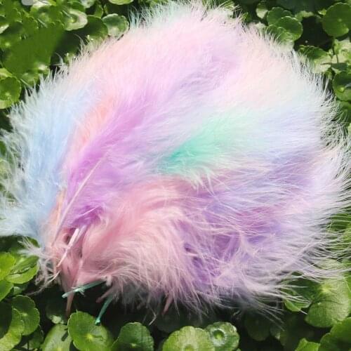Turkey Plumas Chicken Feathers for Crafts DIY Decor Dream Catcher Feathers for Carnival Halloween Christmas Wholesale Pluma