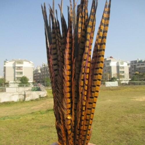 Wholesale 50 / lot of beautiful yellow pheasant Tail feathers 16-18 inches / 40-45 cm Free Shipping