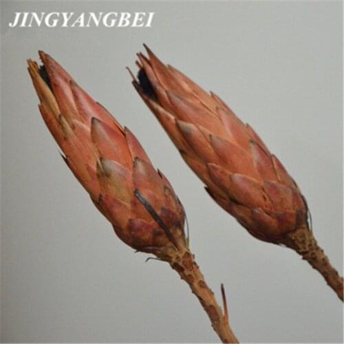 Black Pearl Everlasting Flower Dried Flower Home Interior Decoration Flower Photo Props Floral Plugin