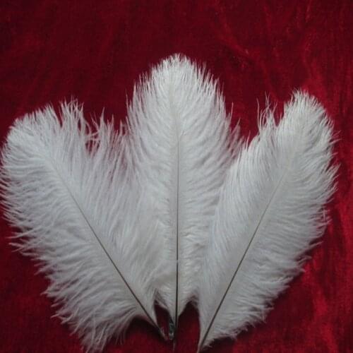Beautiful White ostrich feathers 10 pcs feather length 6-8 inches / 15-20 cm DIY costume and hat stage decoration
