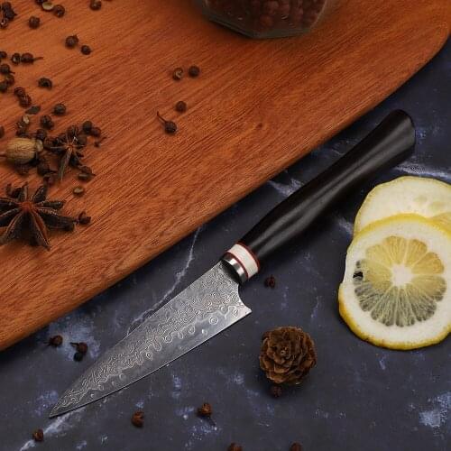 New Style Damascus VG10 Steel Blade Ebony Handle For Cutting Meat Slices Carving Fruit Collection Outdoor EDC Utility Knife