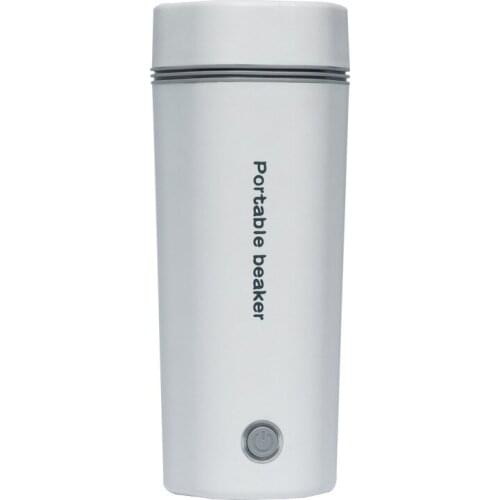 TEAEGG Small Electric Kettles