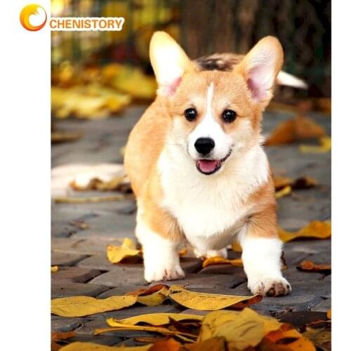 CHENISTORY 60x75cm Frame Painting By Numbers Kits For Adults HandPainted Cute Dog Animal Picture By Number Home Decor Crafts