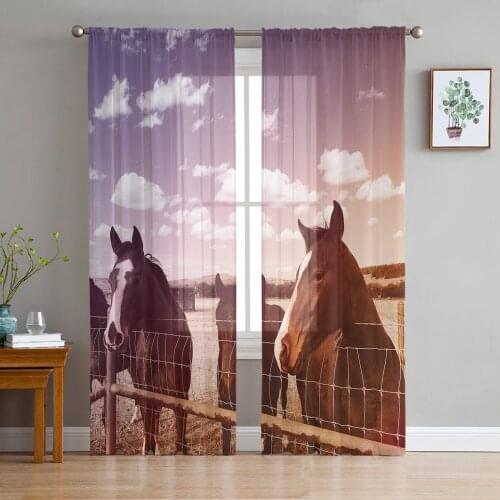 Funny Animals Horse Print Sheer Window Panel Curtains Room for Living Room Bedroom Kitchen Room Chiffon Tulle Curtains