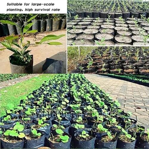 100pcs PE Nursery Bags Seedling Pots With Breathable Holes Thicken Eco-Friendly Tools Garden Growth Nutrition Black Bags Pl B2W8