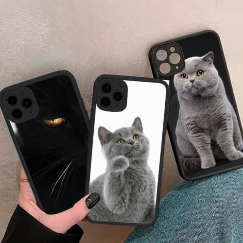 British shorthair cat Phone Case For iphone 12 11 8 7 plus mini x xs xr pro max matte transparent cover
