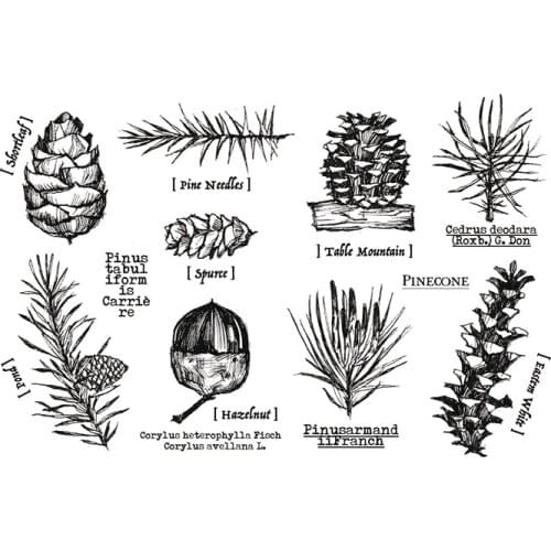 Pinecone stamp Clear Stamp for Scrapbooking Transparent Silicone Rubber DIY Photo Album Decor R503