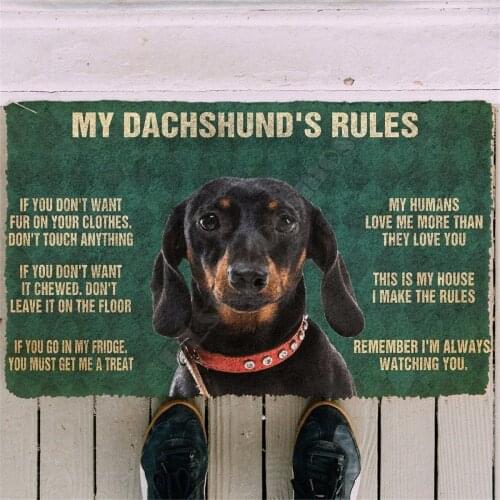 Printed 3D My Dachshunds Hounds Rules Doormat Non Slip Door Floor Mats Decor Porch Doormat