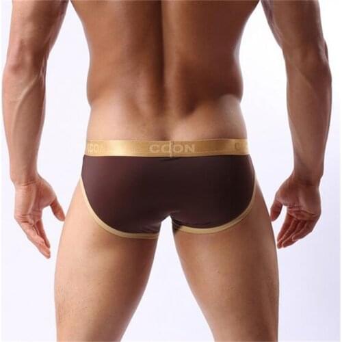 Cockcon Brand Underwear Men Transparent Sexy Male Briefs Mens Mesh Shorts Spandex Underpants Gay Brief Lingerie Panties new