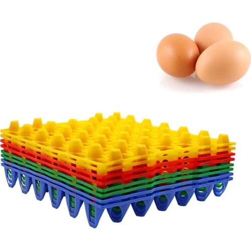 2 pcs Farm Chicken Egg Tray Egg Storage Rack Chicken Rack Poutry Bird Hatcher Farming Equipment Incubator tools
