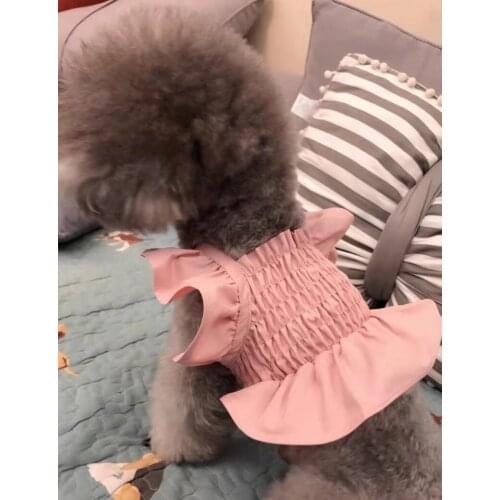 Summer and Autumn Lovely Lace Pet Dog Puppy Skirt Pet Short Skirt Slip Dress Dog Dress Skirt Cat Chihuahua Yorkshire Puppy Cloth