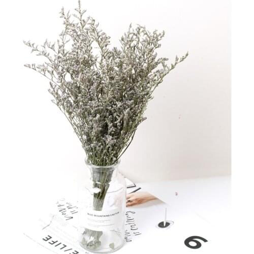 50g Crystal Grass Natural Fresh Dried Real Forever Lover Grass Branch For Home Decor