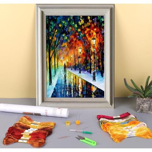 Frozen Path Framed Printed Canvas 11CT Cross Stitch DIY Embroidery Kit DMC Threads Handiwork Craft Needlework Floss