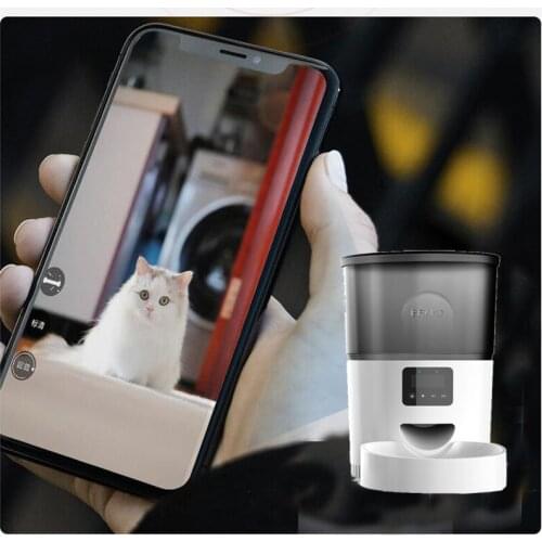 Товары для кошек Surrunme China At AliExpress